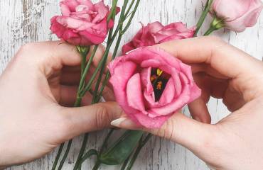 Оформление торжеств